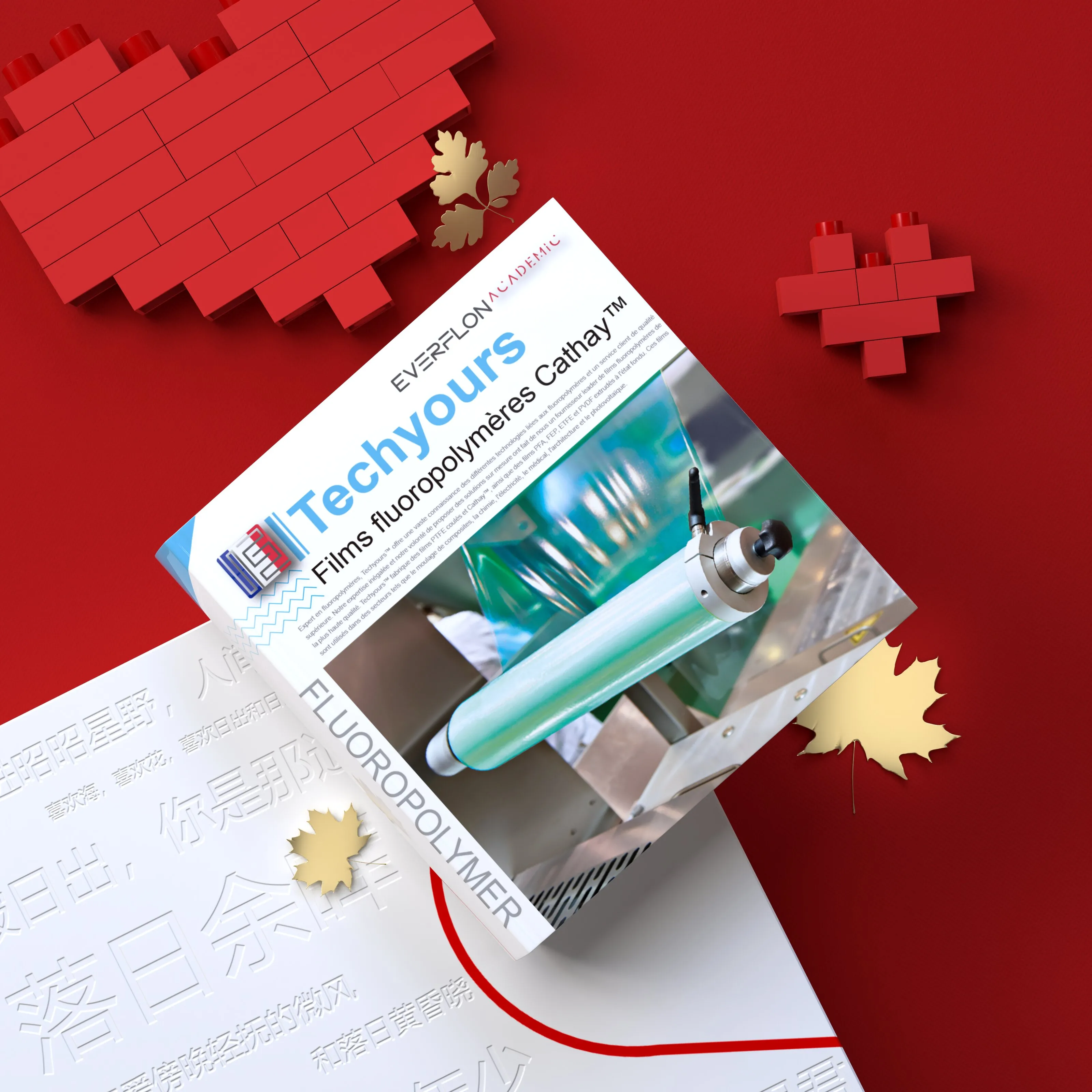 Manuel des films Techyours™